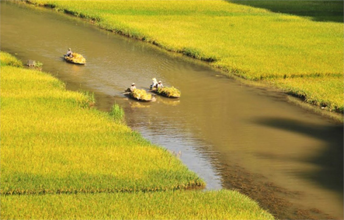Ảnh đại diện